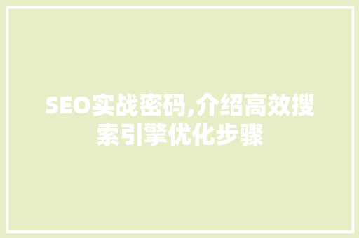 SEO实战密码,介绍高效搜索引擎优化步骤