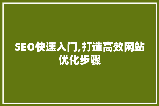 SEO快速入门,打造高效网站优化步骤