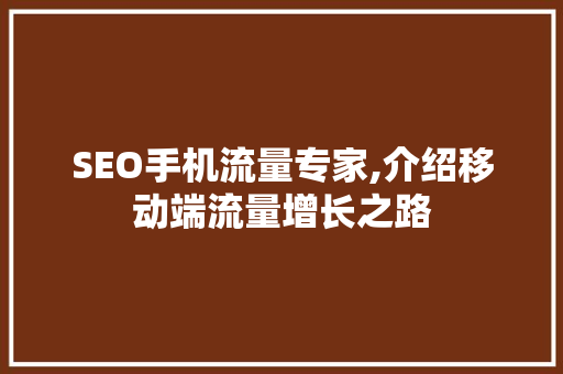 SEO手机流量专家,介绍移动端流量增长之路