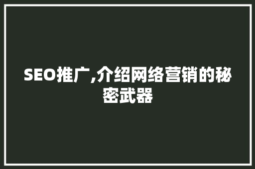 SEO推广,介绍网络营销的秘密武器