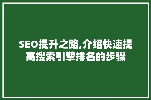 SEO提升之路,介绍快速提高搜索引擎排名的步骤