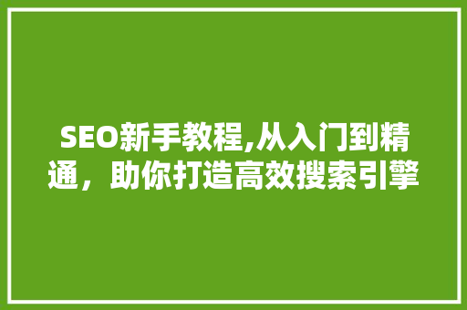SEO新手教程,从入门到精通，助你打造高效搜索引擎优化步骤