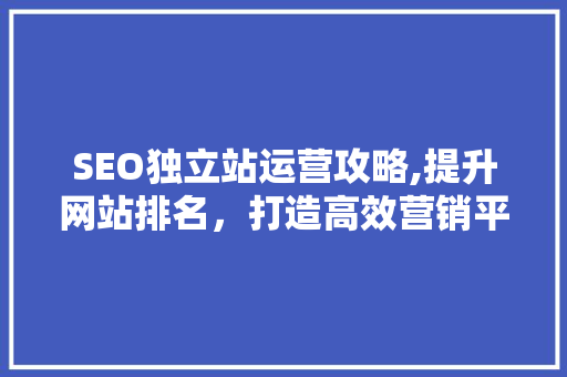 SEO独立站运营攻略,提升网站排名，打造高效营销平台