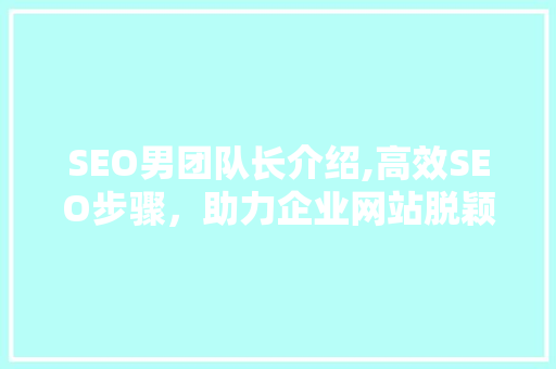 SEO男团队长介绍,高效SEO步骤，助力企业网站脱颖而出  第1张