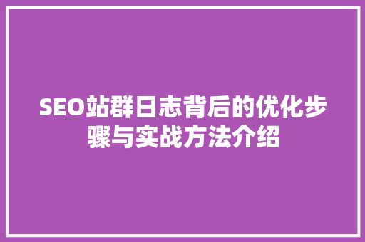 SEO站群日志背后的优化步骤与实战方法介绍