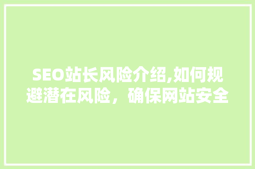 SEO站长风险介绍,如何规避潜在风险，确保网站安全发展