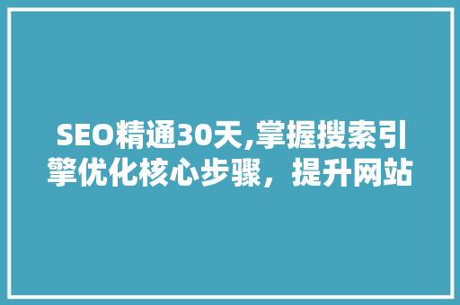 SEO精通30天,掌握搜索引擎优化核心步骤，提升网站排名