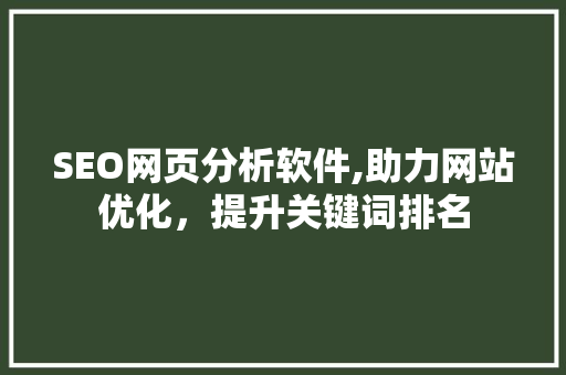 SEO网页分析软件,助力网站优化，提升关键词排名