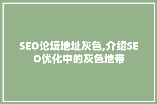 SEO论坛地址灰色,介绍SEO优化中的灰色地带