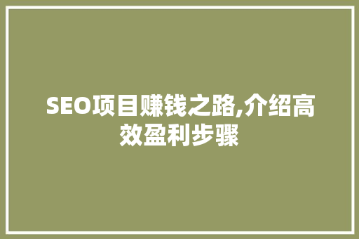 SEO项目赚钱之路,介绍高效盈利步骤