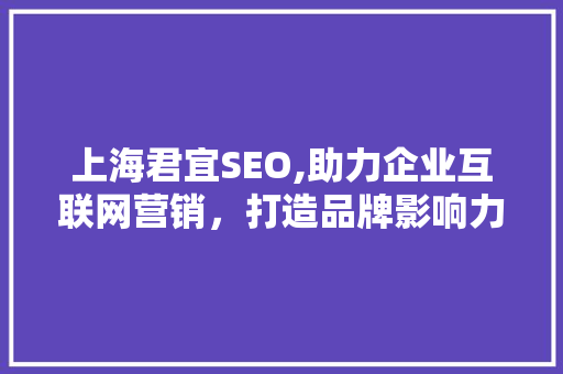 上海君宜SEO,助力企业互联网营销，打造品牌影响力新高度  第1张