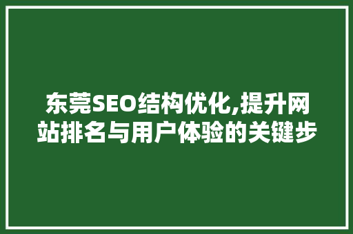 东莞SEO结构优化,提升网站排名与用户体验的关键步骤