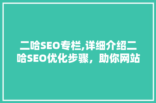 二哈SEO专栏,详细介绍二哈SEO优化步骤，助你网站脱颖而出