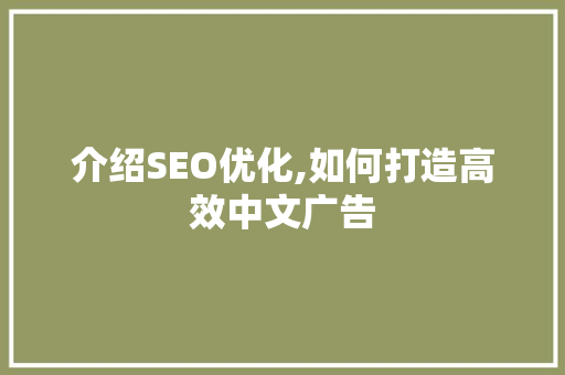 介绍SEO优化,如何打造高效中文广告