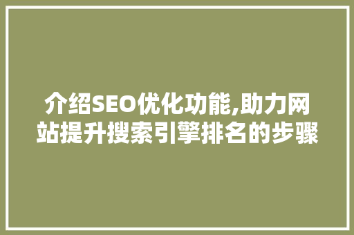 介绍SEO优化功能,助力网站提升搜索引擎排名的步骤介绍