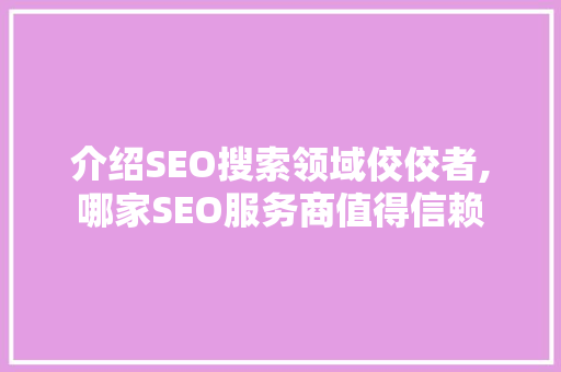介绍SEO搜索领域佼佼者,哪家SEO服务商值得信赖