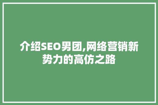 介绍SEO男团,网络营销新势力的高仿之路