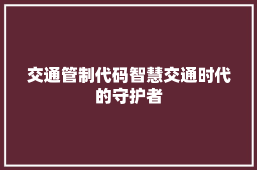 交通管制代码智慧交通时代的守护者