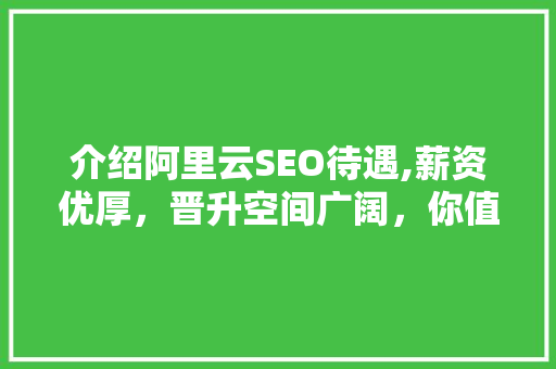 介绍阿里云SEO待遇,薪资优厚，晋升空间广阔，你值得拥有！