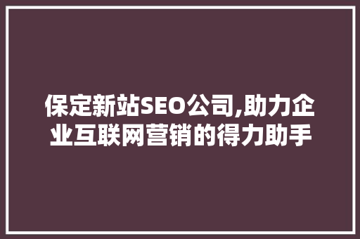 保定新站SEO公司,助力企业互联网营销的得力助手