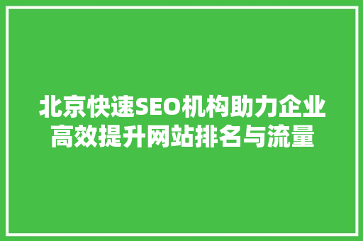 北京快速SEO机构助力企业高效提升网站排名与流量