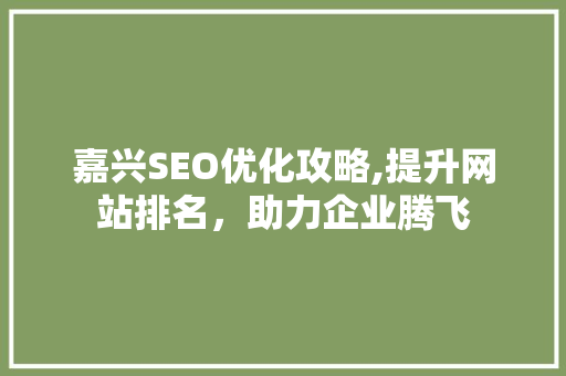嘉兴SEO优化攻略,提升网站排名，助力企业腾飞