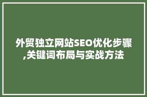 外贸独立网站SEO优化步骤,关键词布局与实战方法