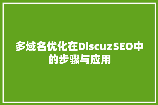 多域名优化在DiscuzSEO中的步骤与应用