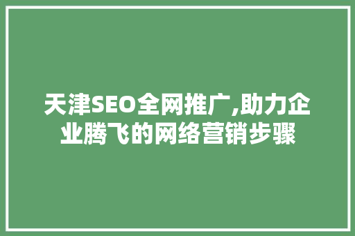 天津SEO全网推广,助力企业腾飞的网络营销步骤