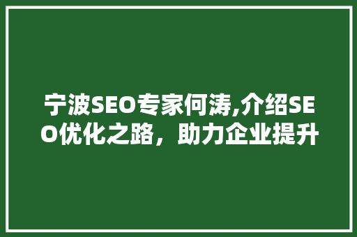 宁波SEO专家何涛,介绍SEO优化之路，助力企业提升在线竞争力