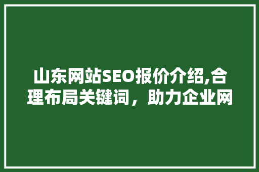 山东网站SEO报价介绍,合理布局关键词，助力企业网络营销