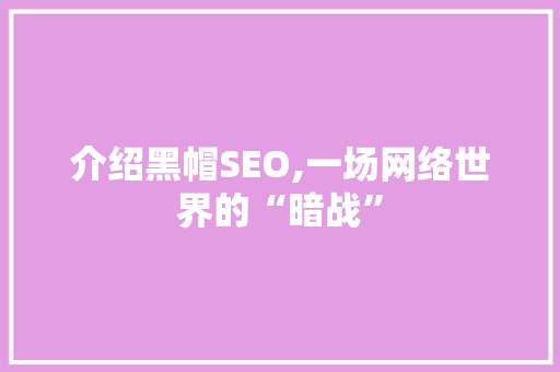 介绍黑帽SEO,一场网络世界的“暗战”  第1张