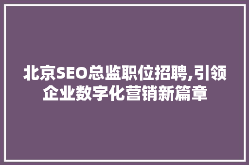 北京SEO总监职位招聘,引领企业数字化营销新篇章