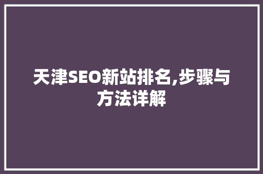 天津SEO新站排名,步骤与方法详解