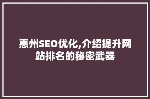 惠州SEO优化,介绍提升网站排名的秘密武器