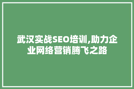 武汉实战SEO培训,助力企业网络营销腾飞之路
