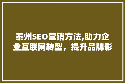 泰州SEO营销方法,助力企业互联网转型，提升品牌影响力  第1张