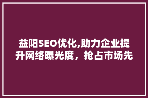 益阳SEO优化,助力企业提升网络曝光度，抢占市场先机