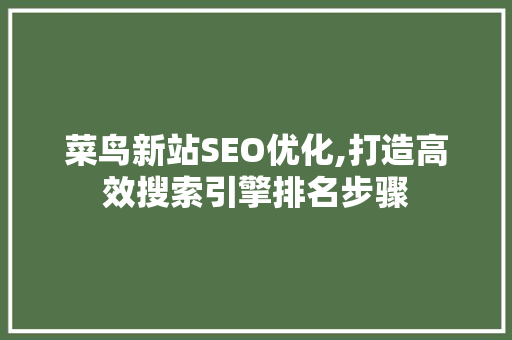 菜鸟新站SEO优化,打造高效搜索引擎排名步骤