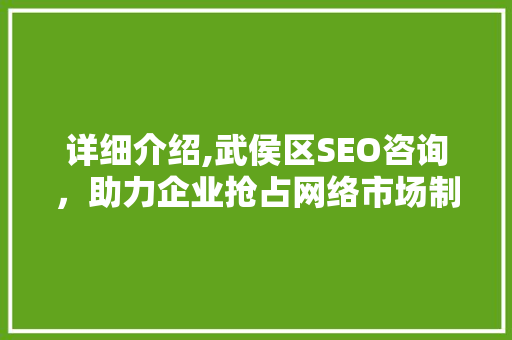 详细介绍,武侯区SEO咨询，助力企业抢占网络市场制高点