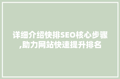 详细介绍快排SEO核心步骤,助力网站快速提升排名