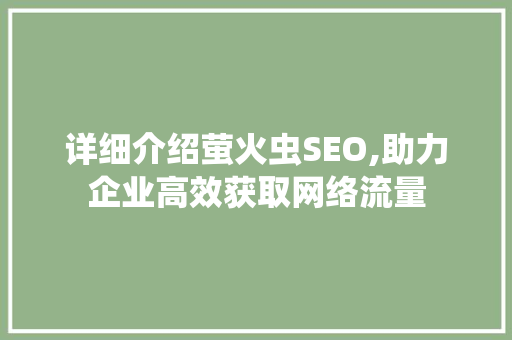 详细介绍萤火虫SEO,助力企业高效获取网络流量