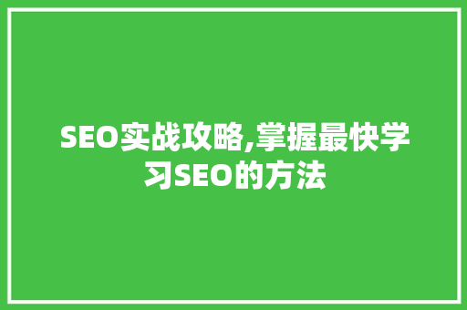 SEO实战攻略,掌握最快学习SEO的方法  第1张