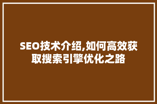 SEO技术介绍,如何高效获取搜索引擎优化之路