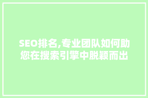 SEO排名,专业团队如何助您在搜索引擎中脱颖而出