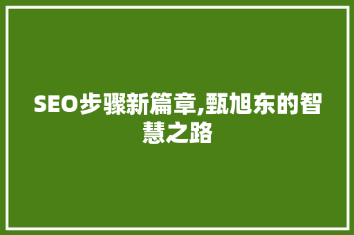 SEO步骤新篇章,甄旭东的智慧之路