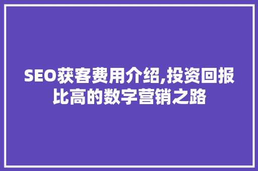 SEO获客费用介绍,投资回报比高的数字营销之路