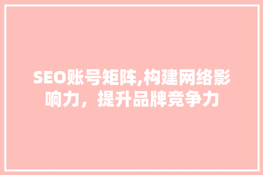 SEO账号矩阵,构建网络影响力，提升品牌竞争力