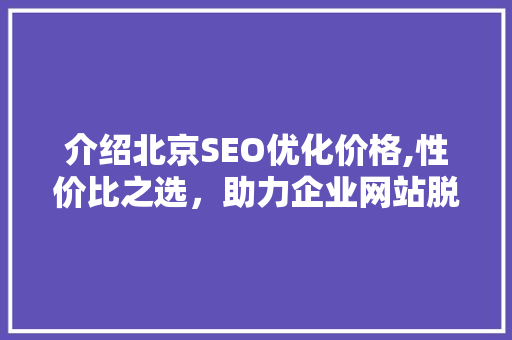 介绍北京SEO优化价格,性价比之选，助力企业网站脱颖而出