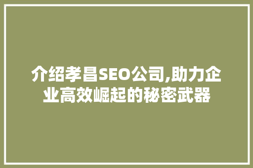 介绍孝昌SEO公司,助力企业高效崛起的秘密武器